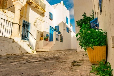 sidi bou said, famouse village with traditional tunisian architecture. white walls with flower pots and blue windows.