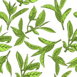 seamless pattern with herbs, vector illustration hand-drawn  leaves and branches of tea