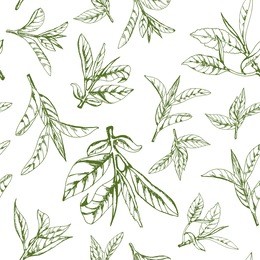 seamless pattern with herbs, vector illustration hand-drawn  leaves and branches of tea