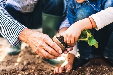 senior man with grandaughter gardening in the backyard garden.