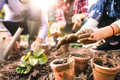 senior couple with grandaughter gardening in the backyard garden