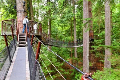 high up in the beautiful capilano tree top suspension bridge in vancouver,canada