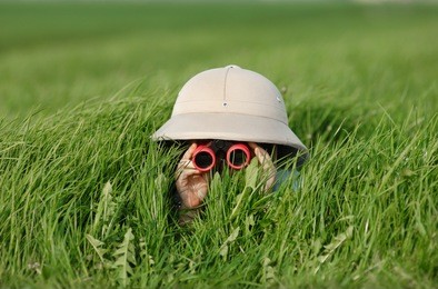 little boy with binoculars and safari hat, laying in the grass searching for knowledge