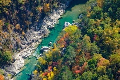 view on the river verdon from the top of the verdon gorges, the forest autumn colorful.