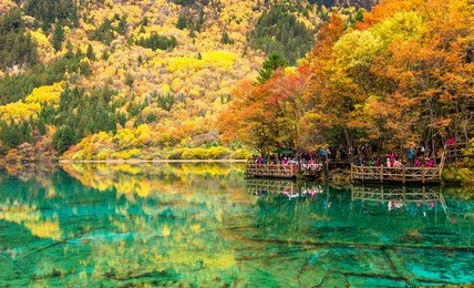 jiuzhaigou national park. sichuan province. beautiful scenic. lake. wooden bridge. travel. china