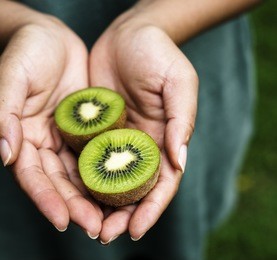 hands holding kiwi organic produce from farm