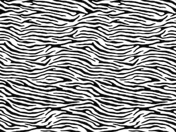 seamless zebra print, animal skin, tiger stripes, abstract pattern, line background, fabric. amazing hand drawn vector illustration. poster, banner. black and white artwork, monochrome