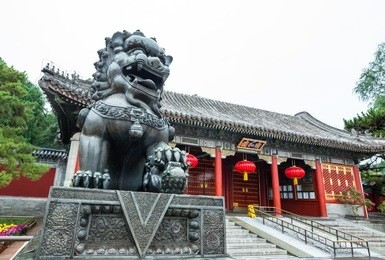 bronze lion statue in summer palace, beijing