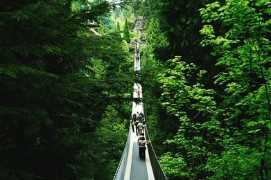 suspension bridge view