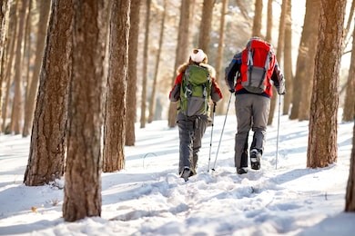 back view of mountaineers couple in forest  