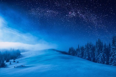 forest on a mountain ridge covered with snow. milky way in a starry sky. christmas winter night.