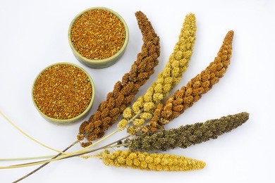 grain millet. white background