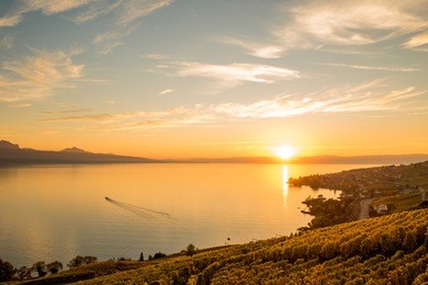 scenery sunset view of vineyards of the lavaux region over leman lake (geneva lake) with french alps, blue sky, golden sun and white clouds, switzerland