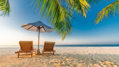 tropical beach background as summer landscape with lounge chairs and palm trees and calm sea for beach banner