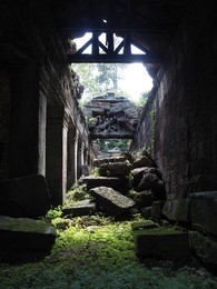 beng mealea temple also known as the jungle temple where the trees, roots and plants have taken over the temple buildings