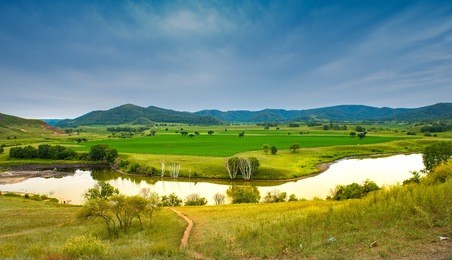 bashang grassland