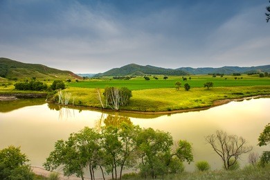 bashang grassland