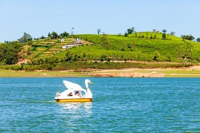 swan tourist boat at the gregory lake in nuwara eliya. lake gregory is a reservoir in centre of the tea country hill city nuwara eliya in sri lanka.