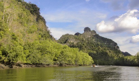 beautiful image of landscape and waterscape with traveling boat. kilim geo-forest nature park. sunny morning, cloudy blue sky, langkawi kedah malaysia. view from a travelling boat. family vacation.