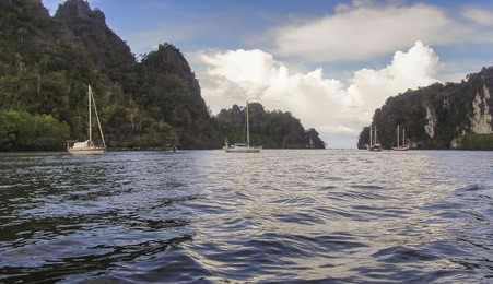 eautiful image of landscape, waterscape and yachts at kilim geo-forest nature park. sunny morning with cloudy blue sky, langkawi kedah malaysia. view from a travelling boat. family vacation. .