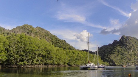 beautiful view of landscape and waterscape with yachts parking around kilim geo-forest nature park with cloudy blue sky, langkawi kedah malaysia. some soft focus due to view from travelling boat. 