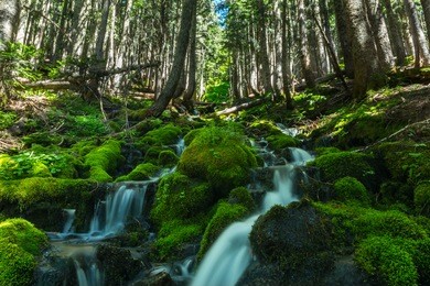 waterfalls in mount rainier national park near spray park in washington state