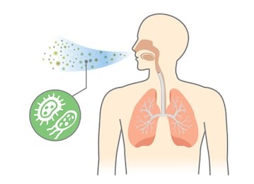 bacteria and fungi into respiratory of human from breathe. illustration about air pollution.