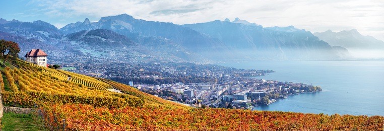 panorama of autumn vineyards in switzerland view on lavaux region by autumn day, vaud