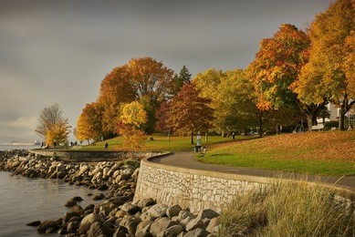 stanley park seawall autumn. autumn leaves line the stanley park seawall in vancouver’s west end, vancouver, canada.

                               