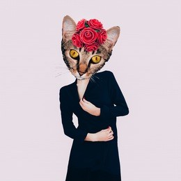 contemporary art collage. retro lady  cat. minimal design flat lay