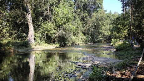 phnom kulen is the river of 1000 lingas