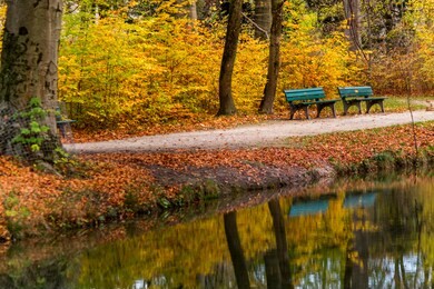 the reflection of the river, bench and the trees in english garden, munich, germany  