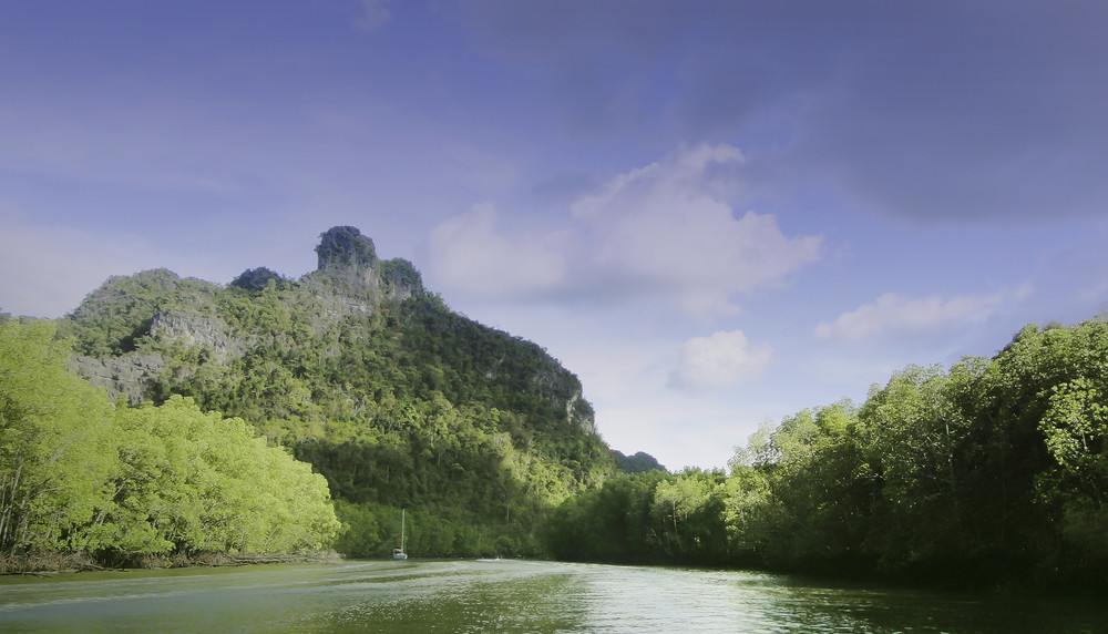 beautiful image of travelling boat on water around kilim geoforest nature park with light cloudy blue sky, langkawi kedah malaysia. view from a fast travelling boat. family vacation.