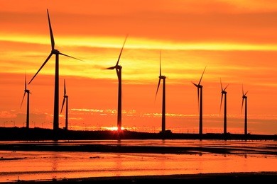 aerogenerator array silhouette at sea shore