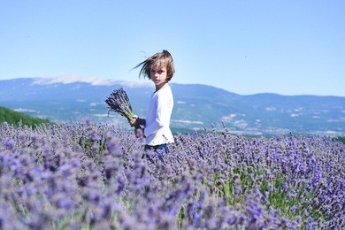 portrait of a beautiful young boy in the lavender field 