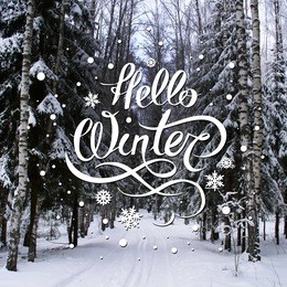 nature december background with hand lettering "hello winter". great season texture with winter mood. 