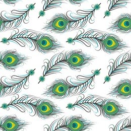 vector illustration seamless pattern of peacock feathers. background with feathers