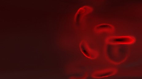 red blood cell flow in vessel. science background for education in school and university. 3d rendering.