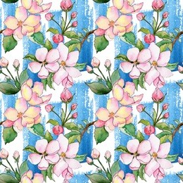 wildflower of apple flower pattern in a watercolor style. full name of the plant: flowers of apple. aquarelle wild flower for background, texture, wrapper pattern, frame or border.