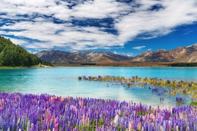 lake tekapo, new zealand