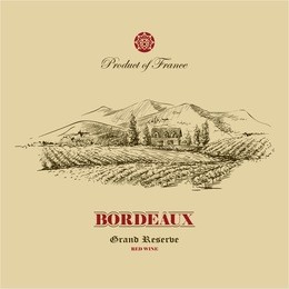 vineyard landscape hand drawn illustration, wine label design template