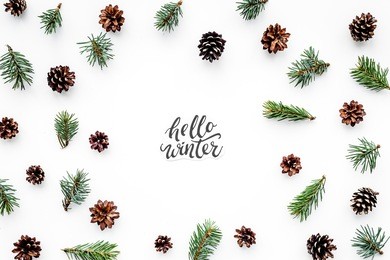 hello winter hand lettering. winter pattern with spruce branch and cones on white background top view