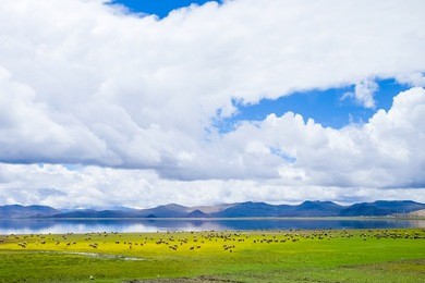 holy lake in tibet (yamdrok lake) a beautiful scene in tibet plateau. 
