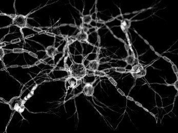 neural network - neurons 