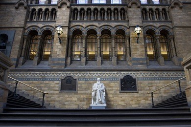 statue of charles darwin, natural history museum, london.