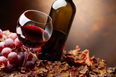 glass and bottle of red wine on a table with grapes and dried up vine leaves .