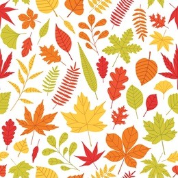 elegant seamless pattern with fallen autumn leaves of various type and color on white background. autumnal backdrop with colorful foliage. vector illustration for textile print, wrapping paper.