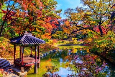 seuol, changdeokgung palace at autumn in south korea.