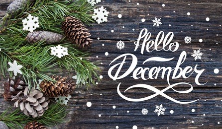 great season texture with winter mood. spruce branches, cones and snowflakes on old wooden rustic background. nature december background with hand lettering "hello december".