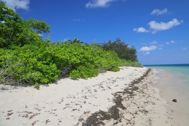 green island, cairns, australia